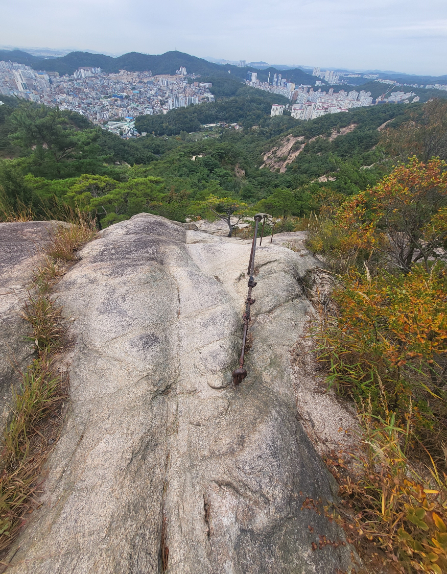 안전철책선.jpg