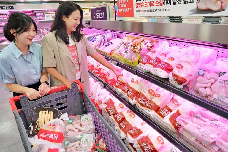 롯데할인.jpg